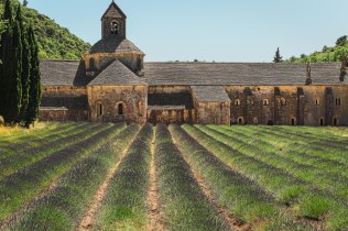Abbaye de Senanque, Gordes